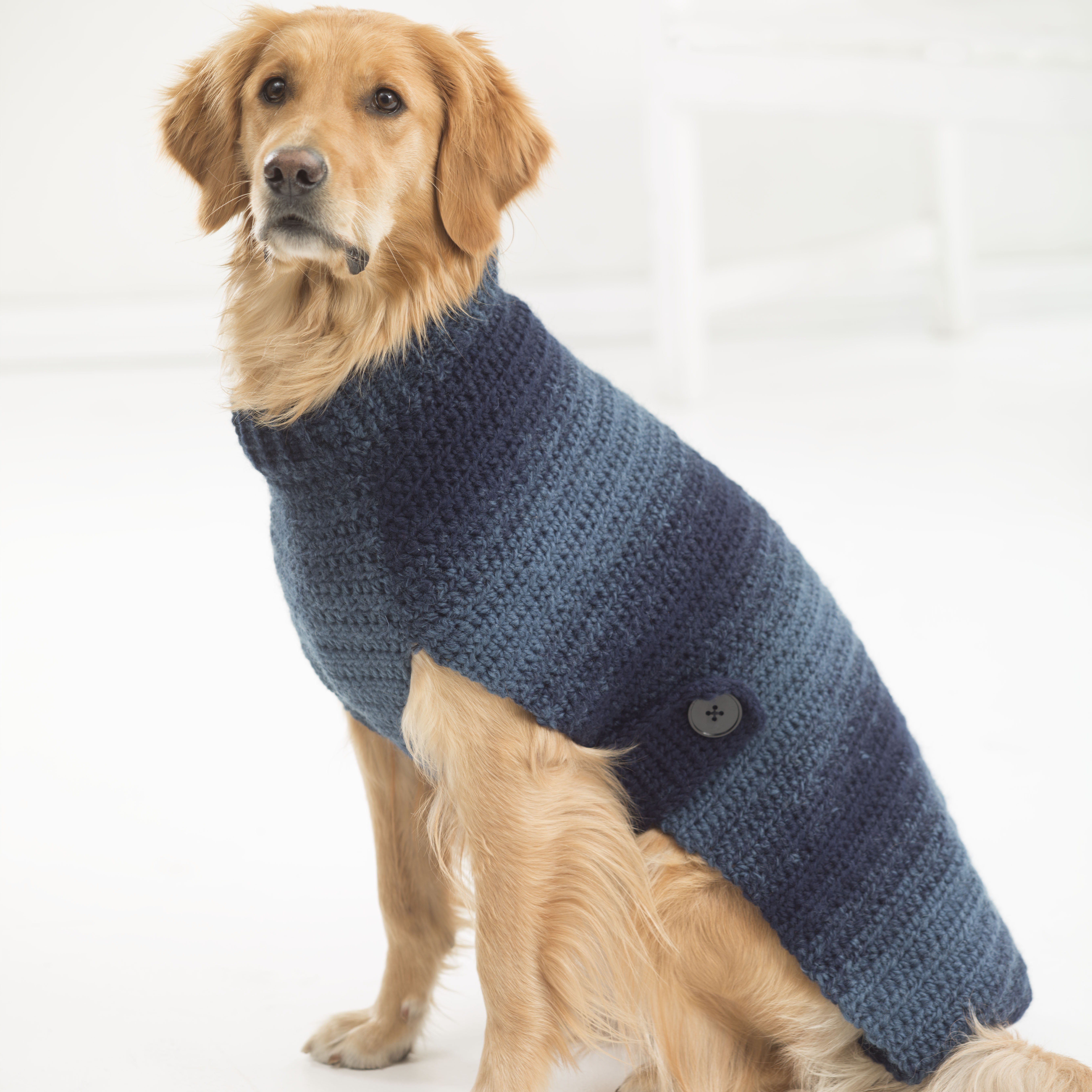 Lion Brand® Crochet Dog Sweater